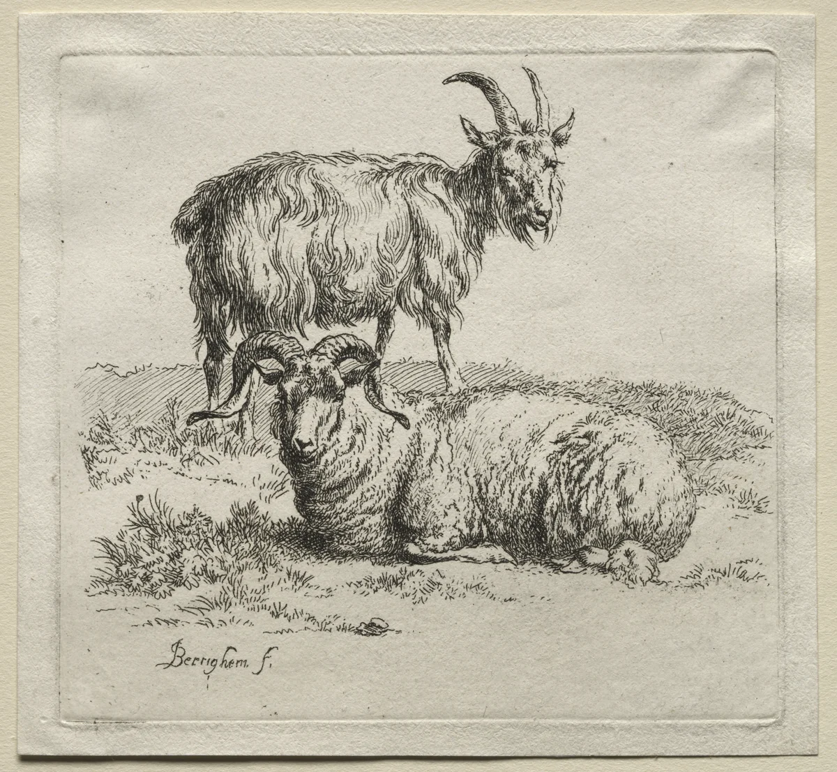 Animalia: Ram and Goat by Nicolaes Berchem, print, 1635-1683