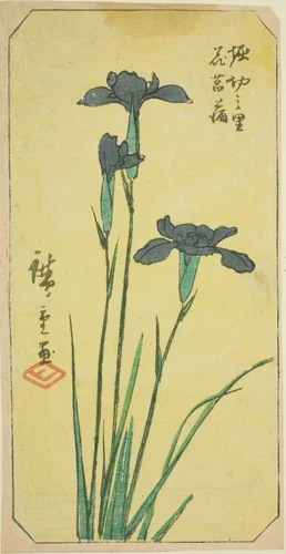 Iris at Horikiri Village (Horikiri no sato hanashobu), section of a sheet from the series "Cutout Pictures of Famous Places in Edo (Edo meisho harimaze zue)" by Utagawa Hiroshige (歌川広重), print, 1857