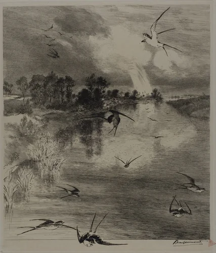 Swallows by Felix Bracquemond, print, 1882