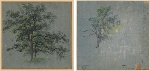 Two Trees (recto) Tree Studies (verso) by Johann Jacob Dorner, drawing, 1775-1852
