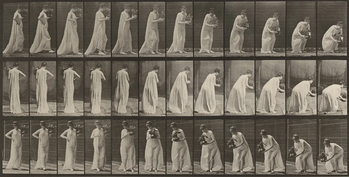 Plate Number 205. Carrying and stooping with a vase by Eadweard Muybridge, photograph, 1887