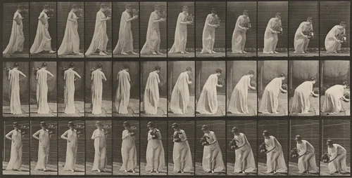 Plate Number 205. Carrying and stooping with a vase by Eadweard Muybridge, photograph, 1887