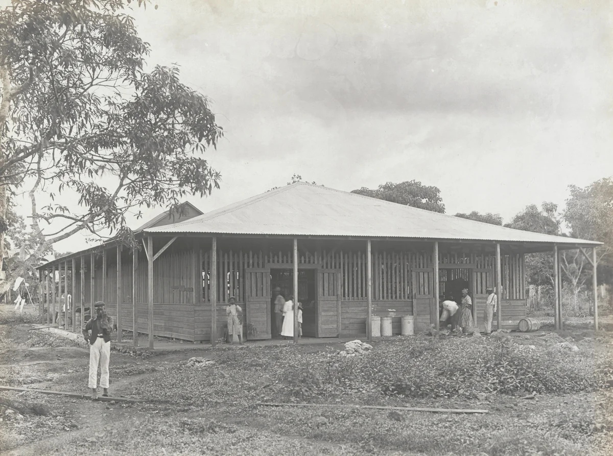 Native market at Empire, C.Z by Unidentified Photographer, photograph, 1905