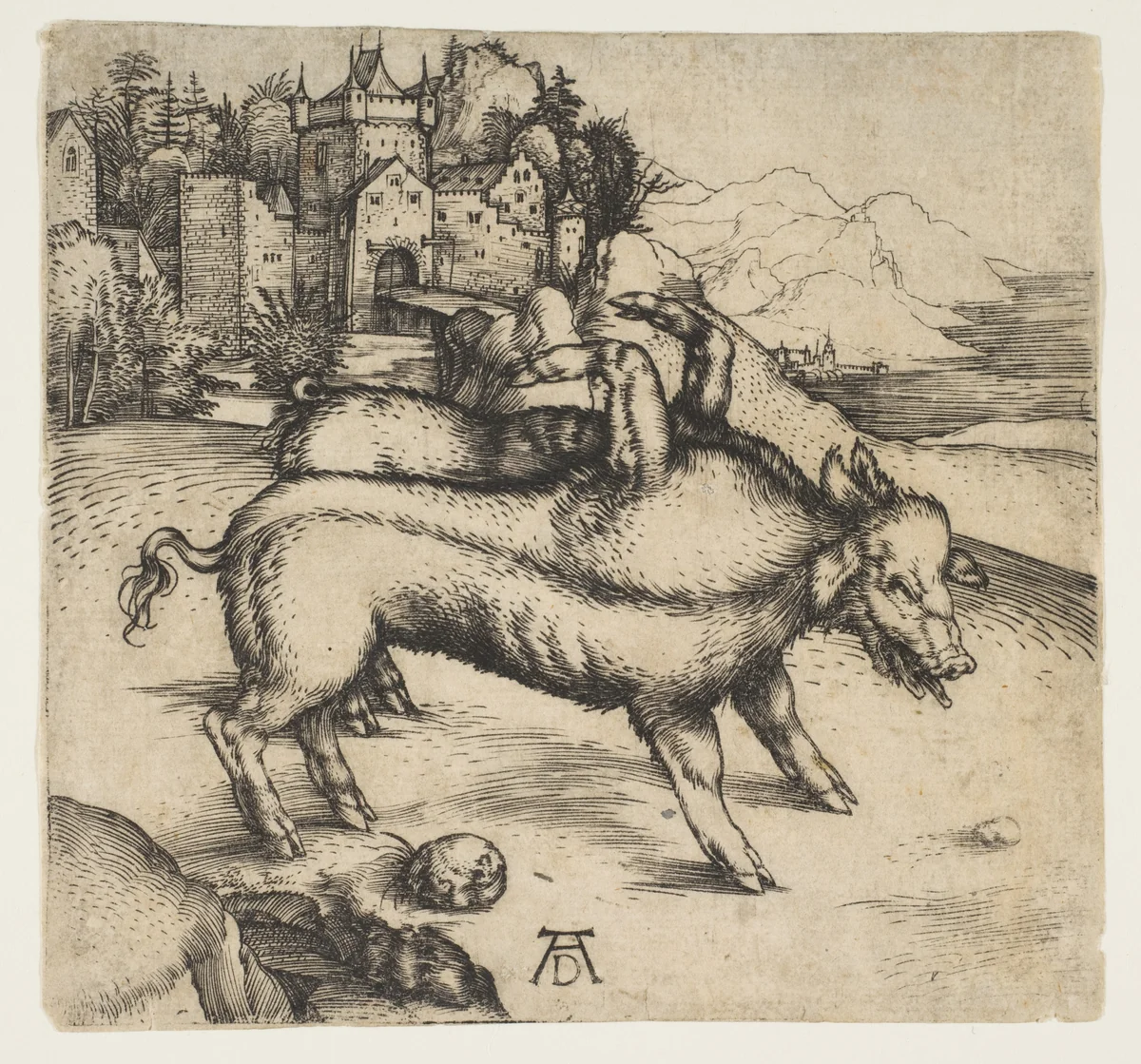 The Monstrous Pig of Landser by Albrecht Dürer, print, 1496