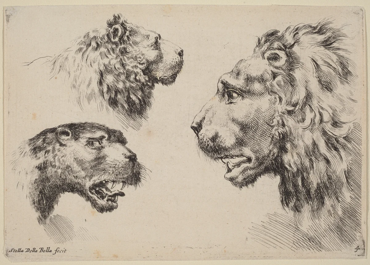 Three Lion Heads by Stefano della Bella, print, 1649