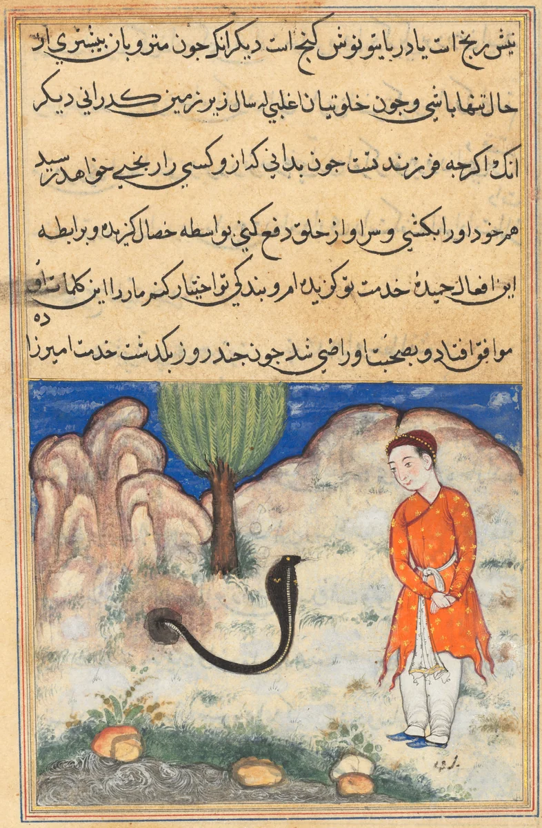 The prince, a son of the ruler of Sistan, enters the service of a snake, from a Tuti-nama (Tales of a Parrot): Thirty-seventh Night by Unknown, painting, 1555-1565