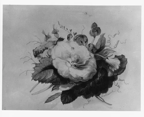 Flowers (from McGuire Scrapbook) by James Holland, artwork, 1800-1870