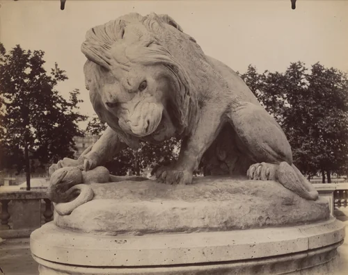 Tuileries - Lion par Barye by Eugène Atget, photograph, 1911