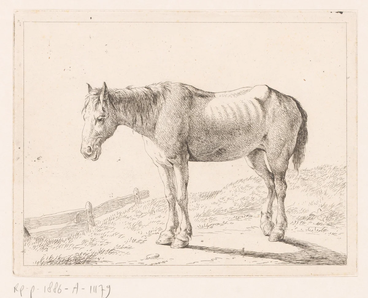 Paard by Hendrik Willem Schweickhardt, print, 1788