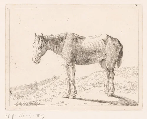 Paard by Hendrik Willem Schweickhardt, print, 1788