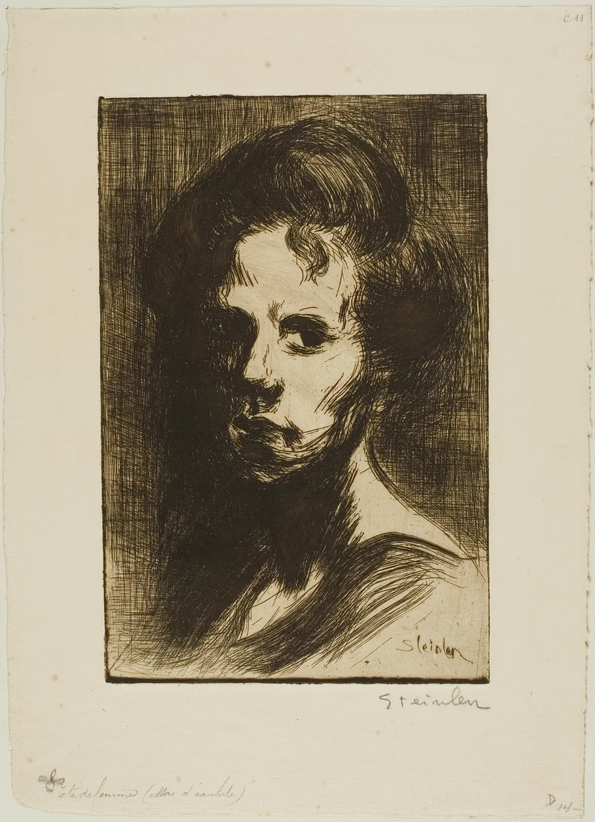 Head of a Woman, plate I by Théophile Alexandre Steinlen, print, 1898