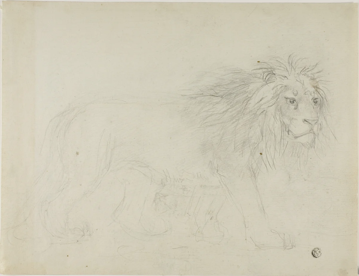 Lion by Sawrey Gilpin, drawing, 1750-1859
