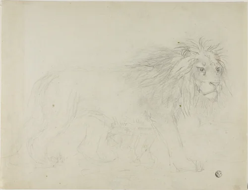 Lion by Sawrey Gilpin, drawing, 1750-1859