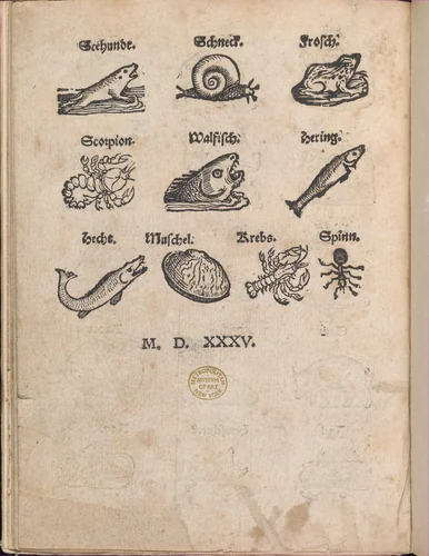 Modelbuch aller Art Nehens vn Stickens (Page 14r) by Christian Egenolff, book, 1535