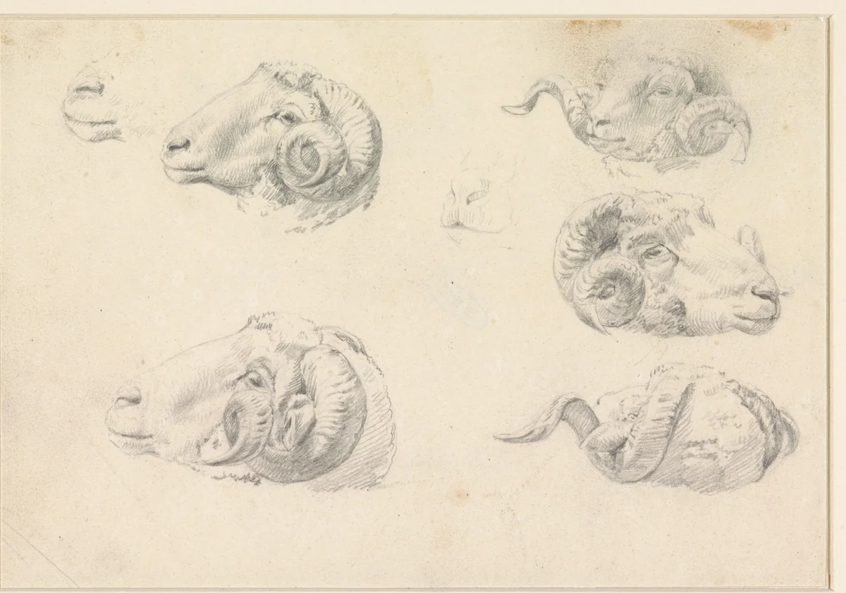 Vijf studies van ramskoppen by Hendrik Jozef Franciscus van der Poorten, drawing, 1840