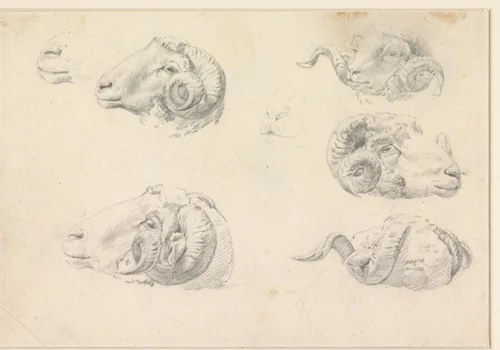 Vijf studies van ramskoppen by Hendrik Jozef Franciscus van der Poorten, drawing, 1840