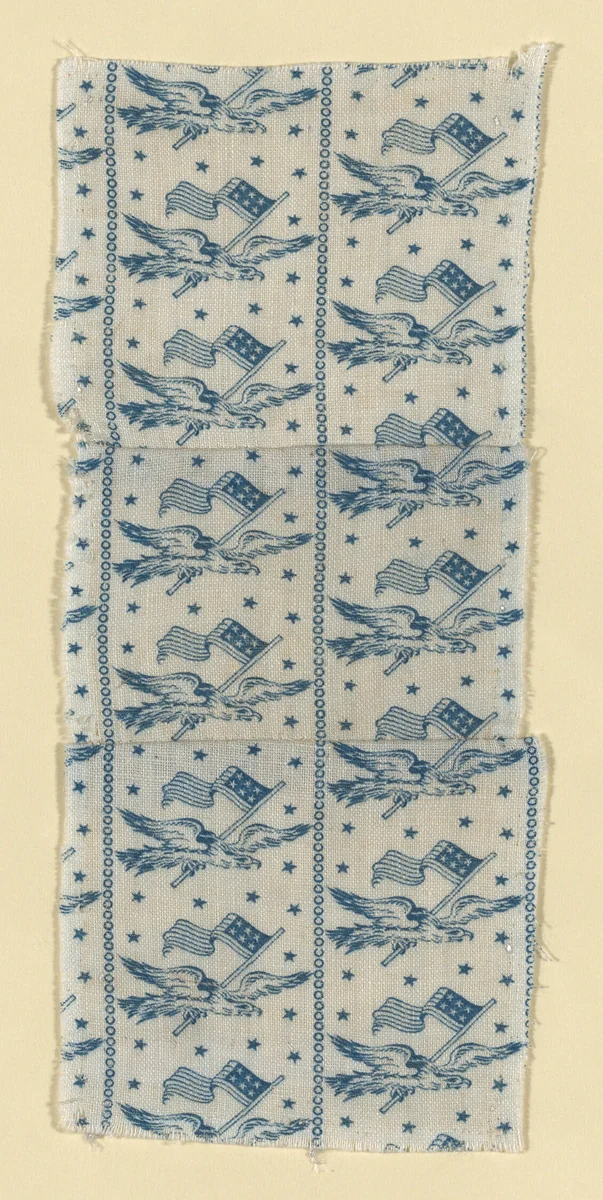 Fragment by United States, textile, 1876