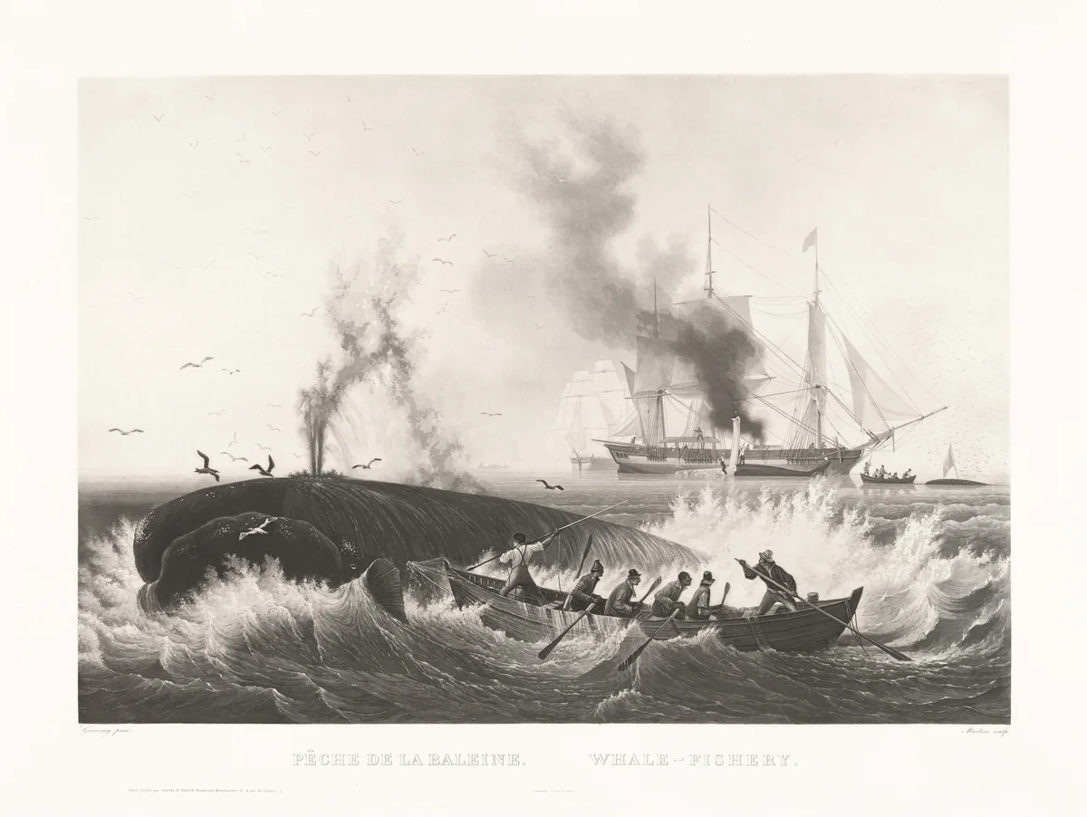 Pêche de la Baleine, Whale-Fishery by Friedrich von Martens
Louis Garneray
Galerie Goupil & Cie, print, 1829-1839