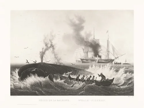 Pêche de la Baleine, Whale-Fishery by Friedrich von Martens
Louis Garneray
Galerie Goupil & Cie, print, 1829-1839