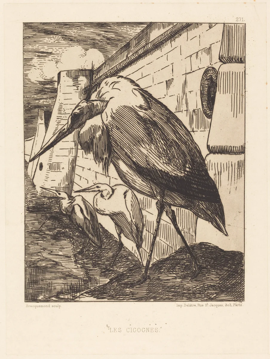 Les Cigognes (The Storks) by Félix Bracquemond; Auguste Delâtre, print, 1870-1879