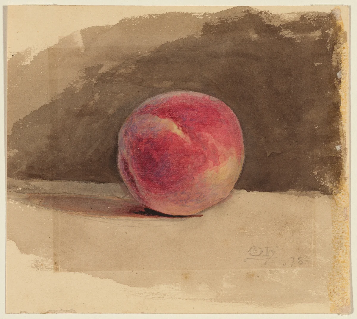 A Peach by Otto Heinigke, drawing, 1878