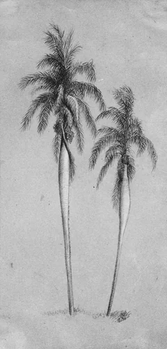 Two Palm Trees by Elihu Vedder, artwork, 1836-1923