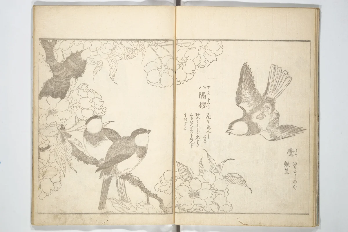 True Depictions of Bird and Flower Pictures (Kachōe shashin zui) 花鳥写真図彙; 花鳥写真図会(かちょうえ しゃしん ずえ) by Kitao Shigemasa (北尾重政), book, 1805