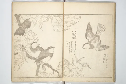 True Depictions of Bird and Flower Pictures (Kachōe shashin zui) 花鳥写真図彙; 花鳥写真図会(かちょうえ しゃしん ずえ) by Kitao Shigemasa (北尾重政), book, 1805
