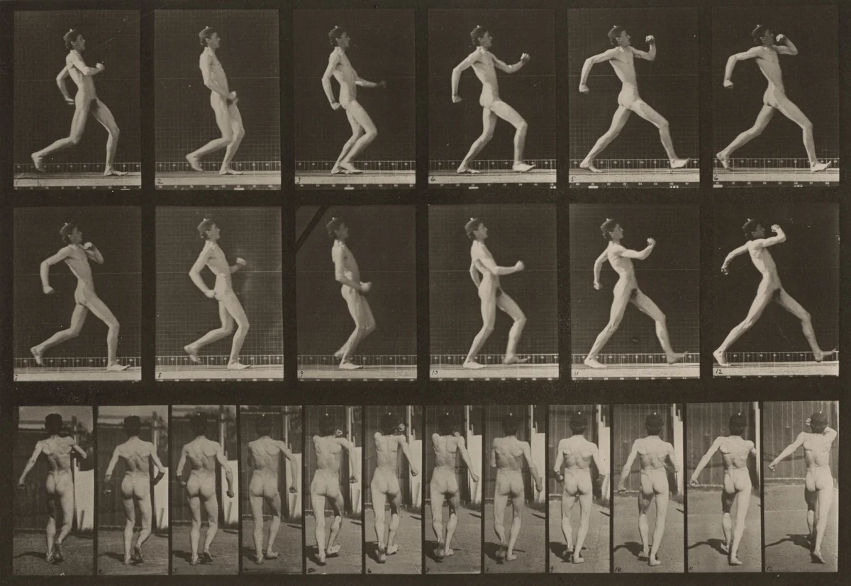 Plate Number 7. Walking by Eadweard Muybridge, photograph, 1887