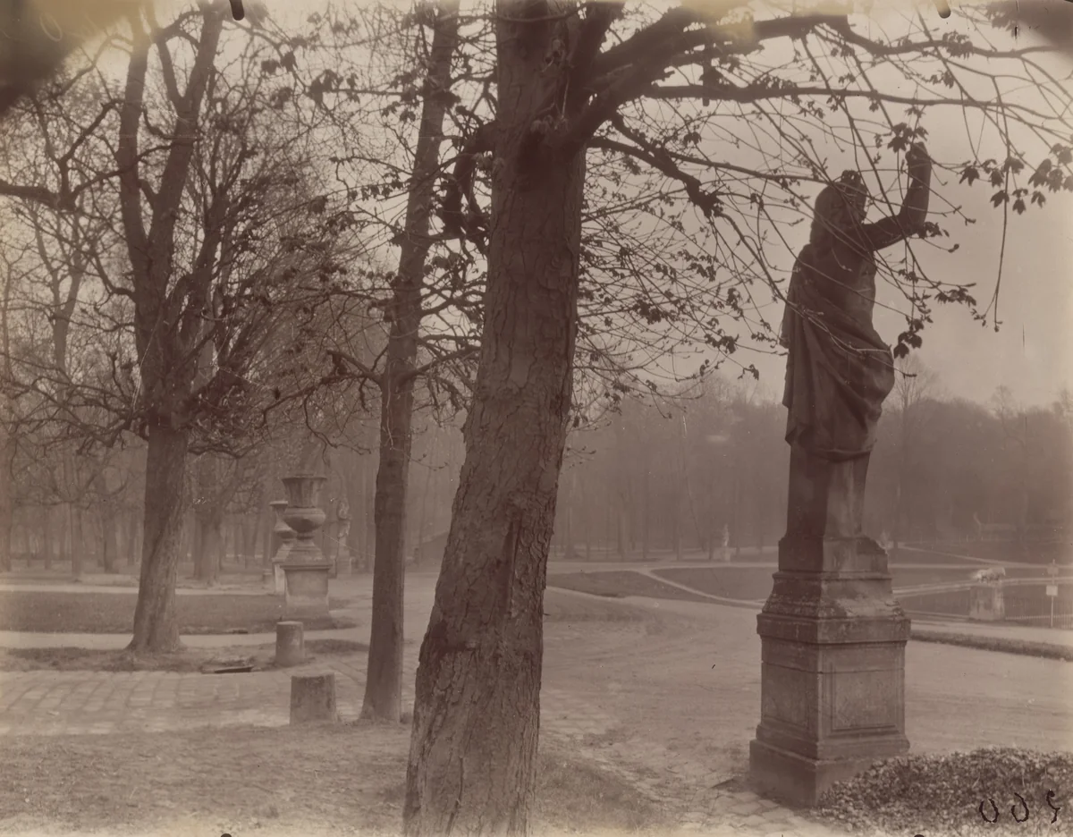 Saint-Cloud by Eugène Atget, photograph, 1926
