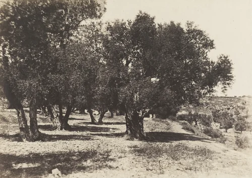 Champ du Sang, Jerusalem by Auguste Salzmann, photograph, 1854