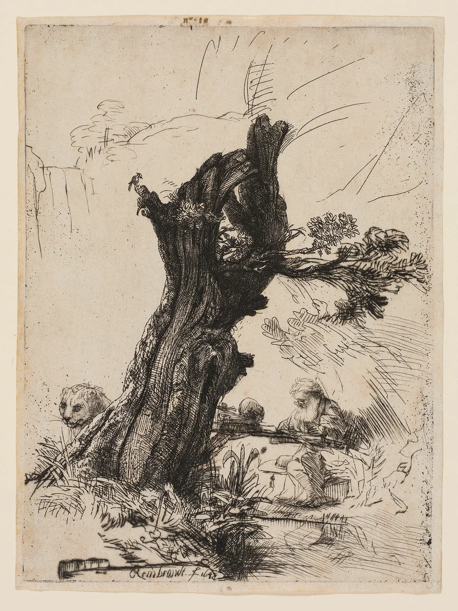 St. Jerome Beside a Pollard Willow by Rembrandt van Rijn, print, 1648