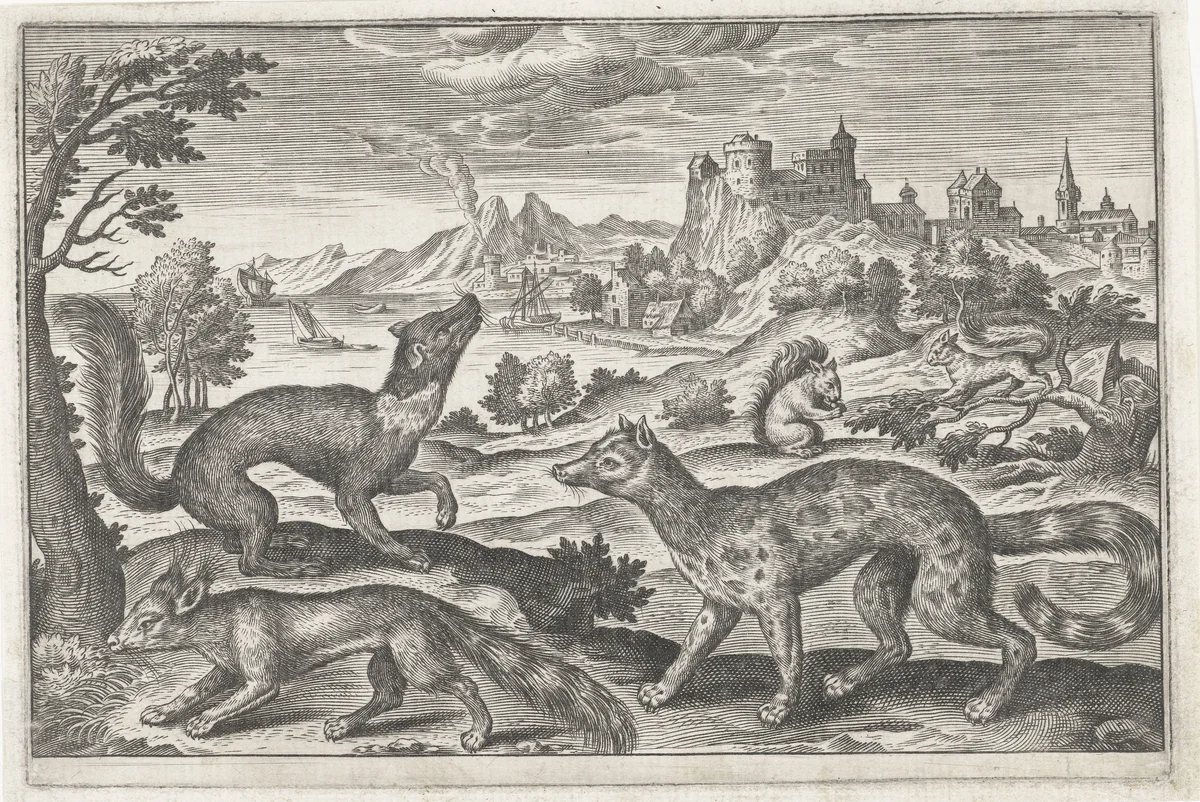 Marters, eekhoorns en een vos by anonymous, print, 1595-1652