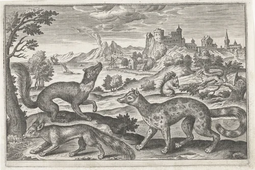Marters, eekhoorns en een vos by anonymous, print, 1595-1652