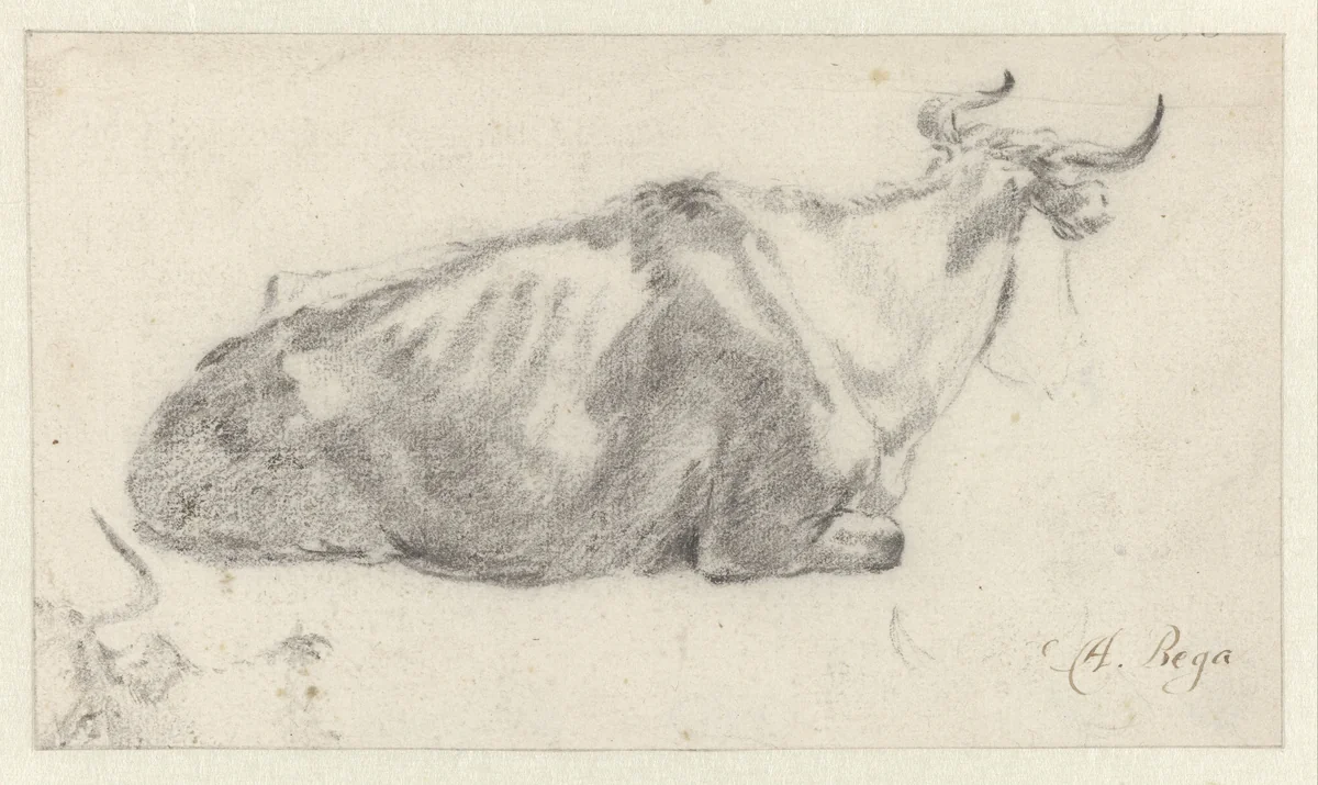 Recumbent Cow Facing Right, with Fragment of a Cow’s Head by Abraham Jansz Begeyn, drawing, 1660-1665