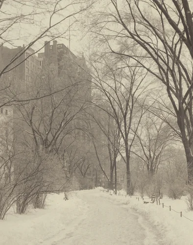 In the Park by Alfred Stieglitz, photograph, 1894