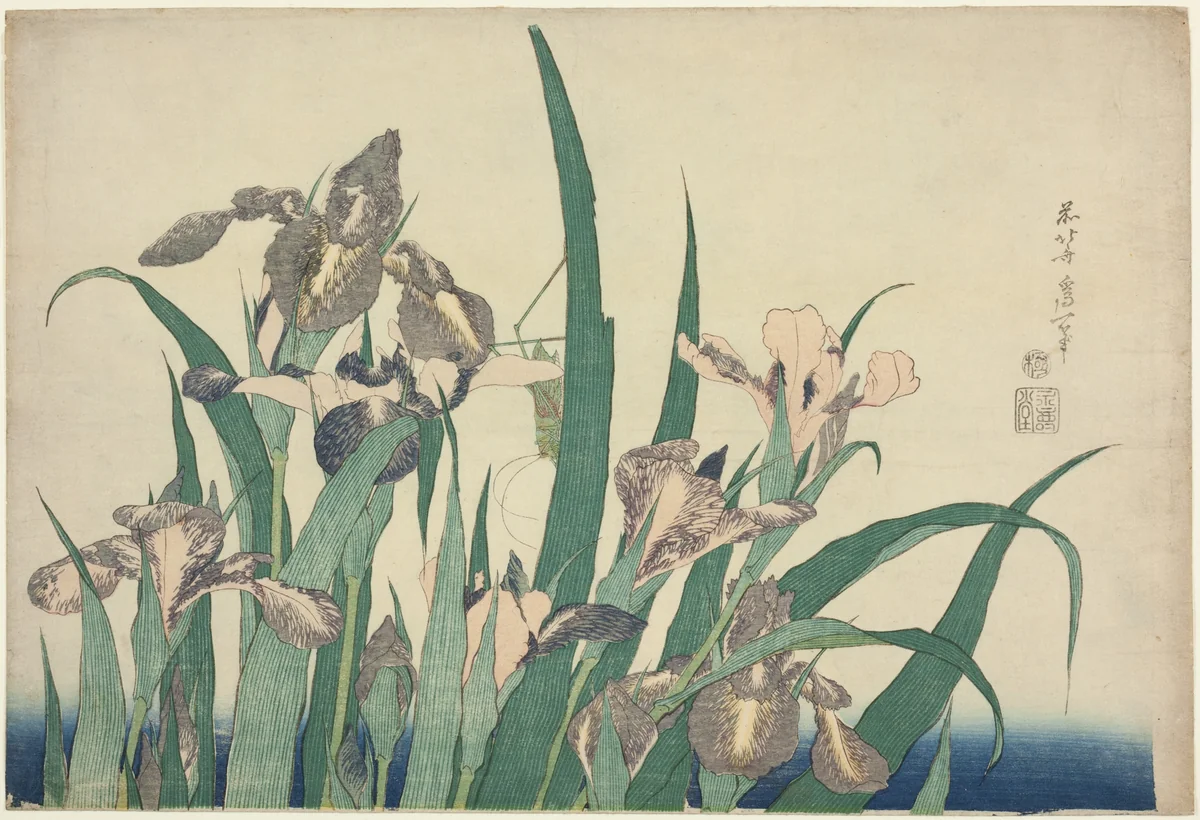 Iris and Grasshopper, from an untitled series of large flowers by Katsushika Hokusai (葛飾 北斎), print, 1827-1839