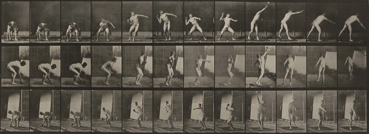 Plate Number 310. Putting the shot by Eadweard Muybridge, photograph, 1887