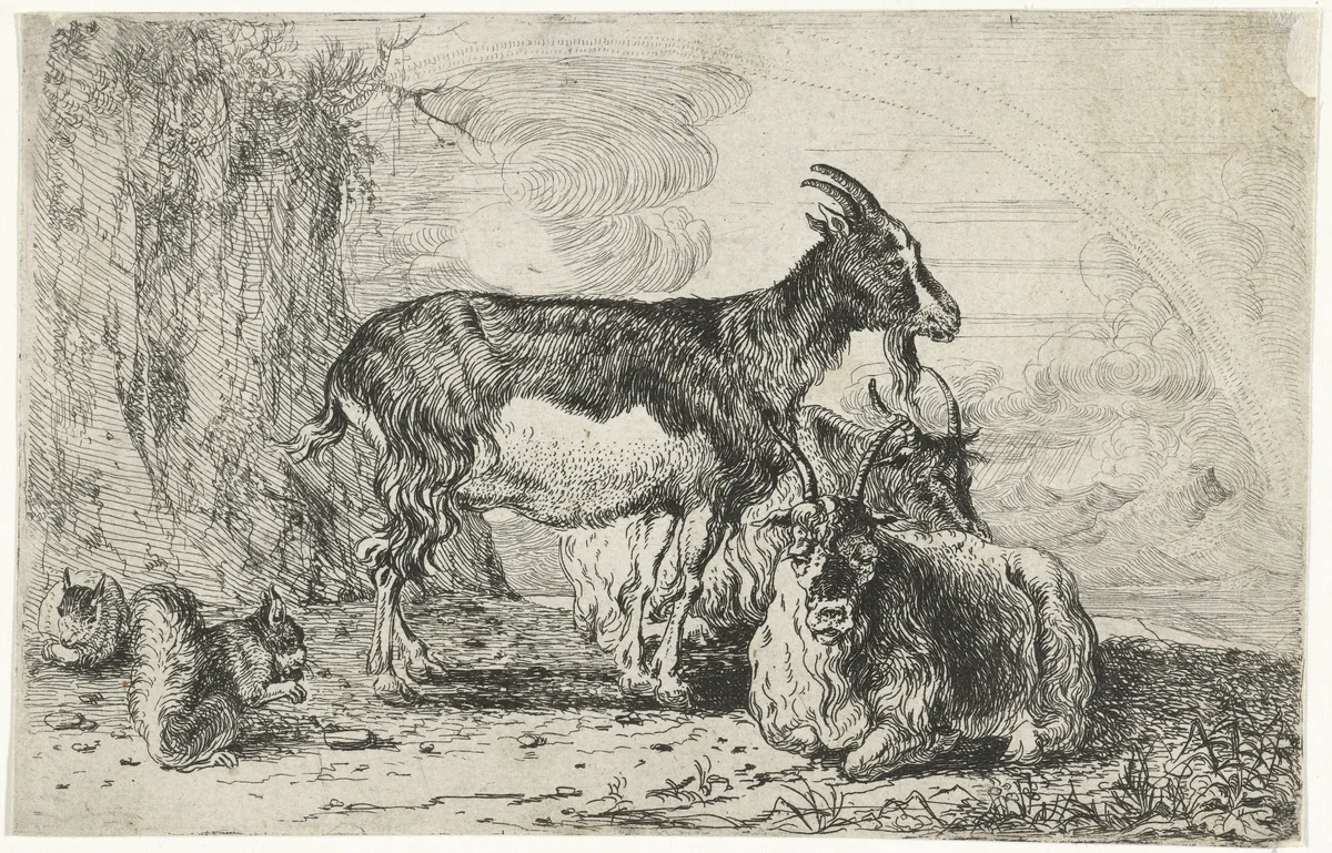Geiten by Jan van den Hecke, print, 1656