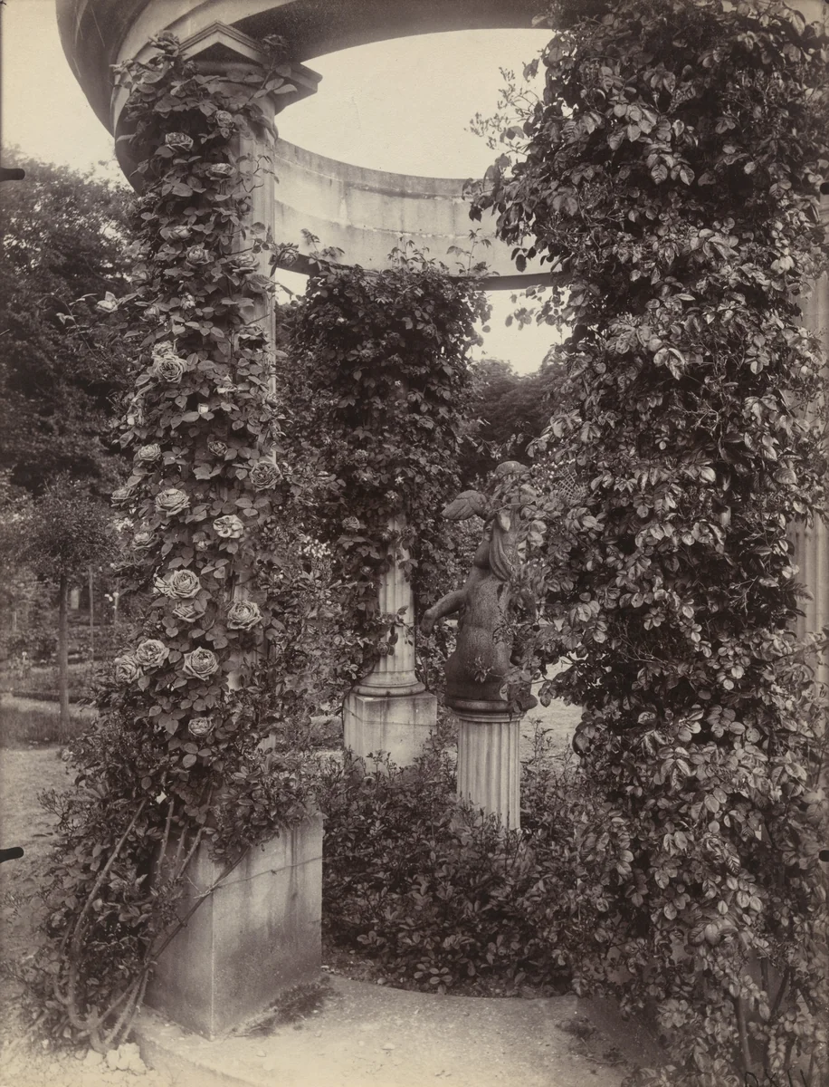 Roseraie de L'Haÿ by Eugène Atget, photograph, 1922