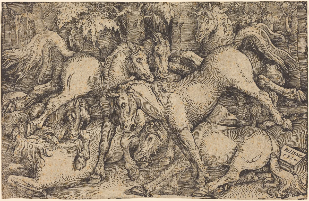 Group of Seven Horses in Woods by Hans Baldung Grien, print, 1534