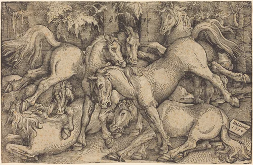 Group of Seven Horses in Woods by Hans Baldung Grien, print, 1534