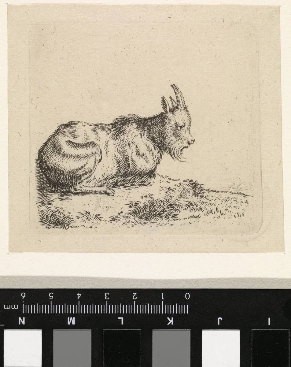 Liggende geit by Cornelis Saftleven, print, 1617-1681