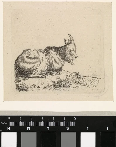 Liggende geit by Cornelis Saftleven, print, 1617-1681