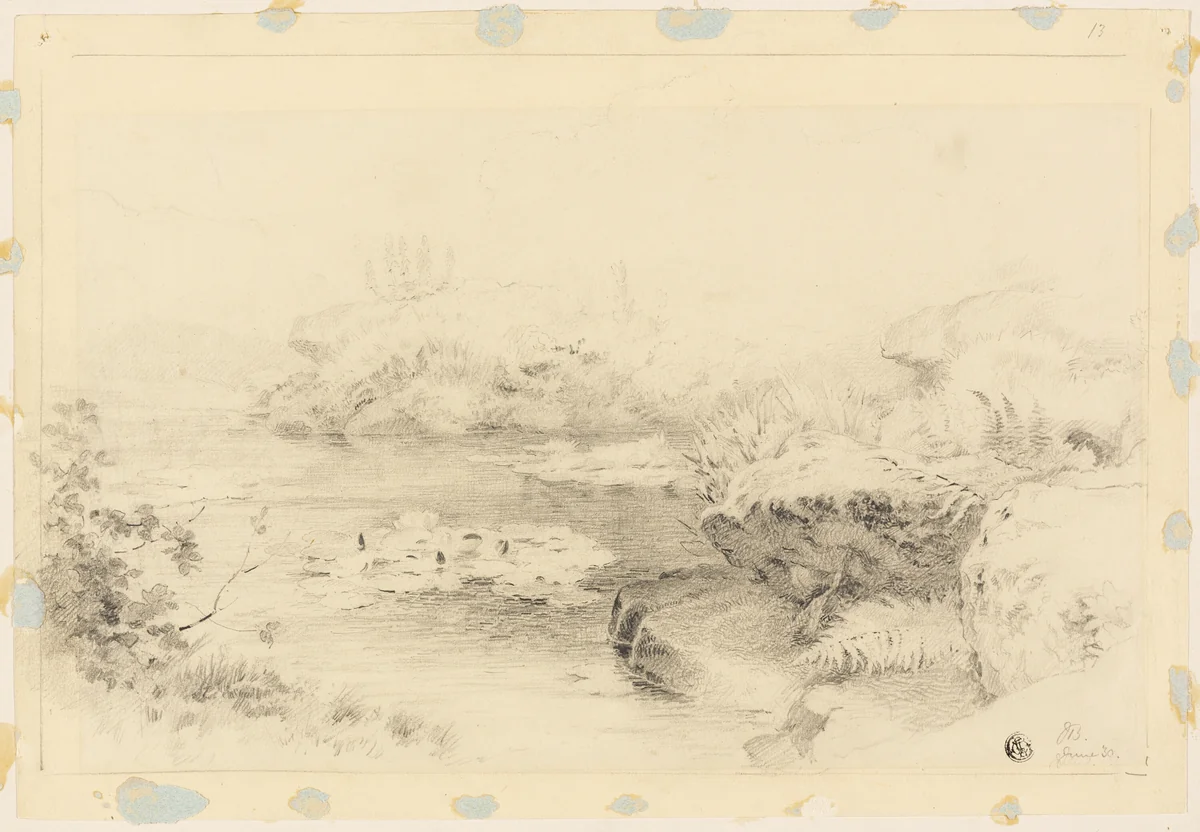 Pond with Water Lilies by Jabez Bligh, drawing, 1883-1889