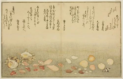 Shiro-gai, namima-gashiwa, makura-gai, iro-gai, aza-gai, sadae-gai, from the illustrated book "Gifts from the Ebb Tide (Shiohi no tsuto)" by Kitagawa Utamaro (喜多川歌麿), print, 1789