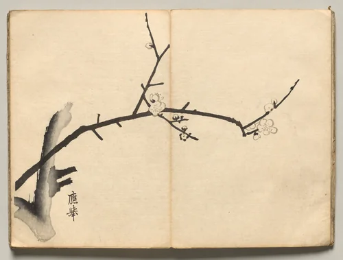 Plum from Ōkyo Picture Book by Maruyama Ōkyo (円山応挙), book, 1850