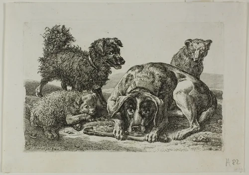 Four Dogs, from Die Zweite Thierfolge by Johann Christian Reinhart, print, 1799-1803
