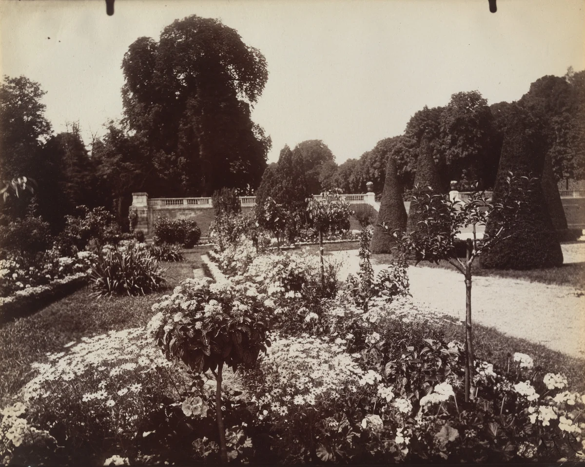 Saint-Cloud by Eugène Atget, photograph, 1919