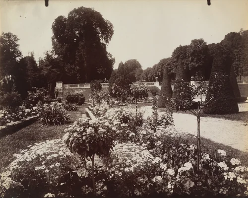Saint-Cloud by Eugène Atget, photograph, 1919